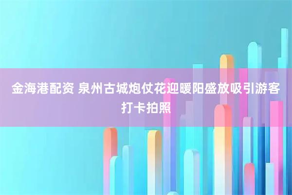 金海港配资 泉州古城炮仗花迎暖阳盛放吸引游客打卡拍照