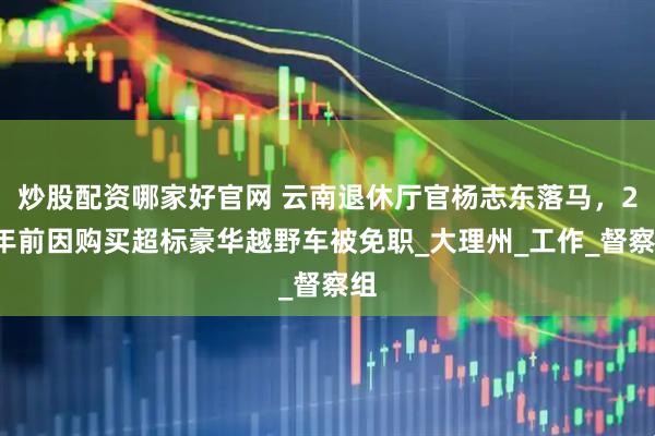 炒股配资哪家好官网 云南退休厅官杨志东落马，21年前因购买超标豪华越野车被免职_大理州_工作_督察组