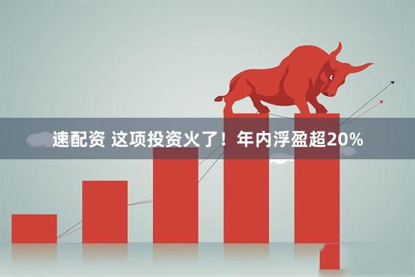 速配资 这项投资火了！年内浮盈超20%
