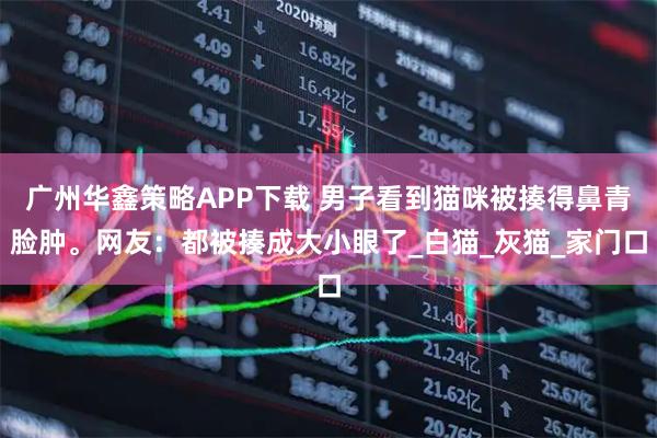 广州华鑫策略APP下载 男子看到猫咪被揍得鼻青脸肿。网友：都被揍成大小眼了_白猫_灰猫_家门口