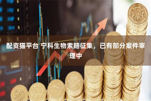 配资猫平台 宁科生物索赔征集，已有部分案件审理中