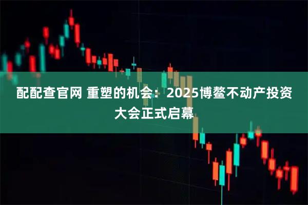 配配查官网 重塑的机会：2025博鳌不动产投资大会正式启幕